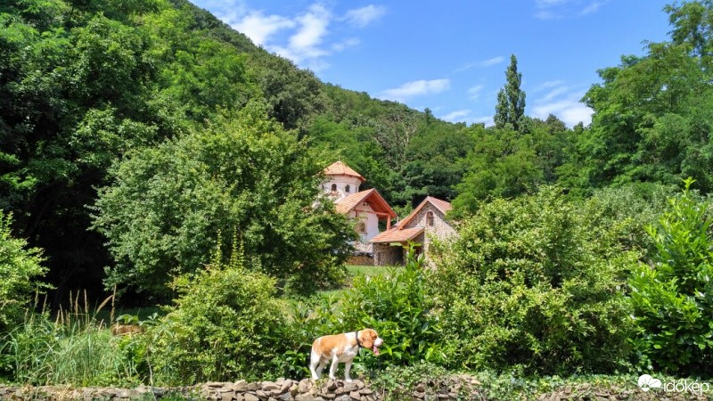Kisapáti