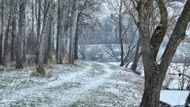 Téli séta az ártéri erdőben