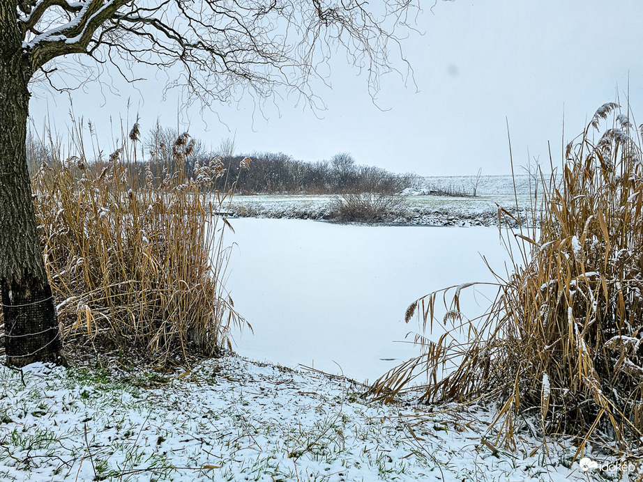 Kihűlt üres horgászhelyek partján