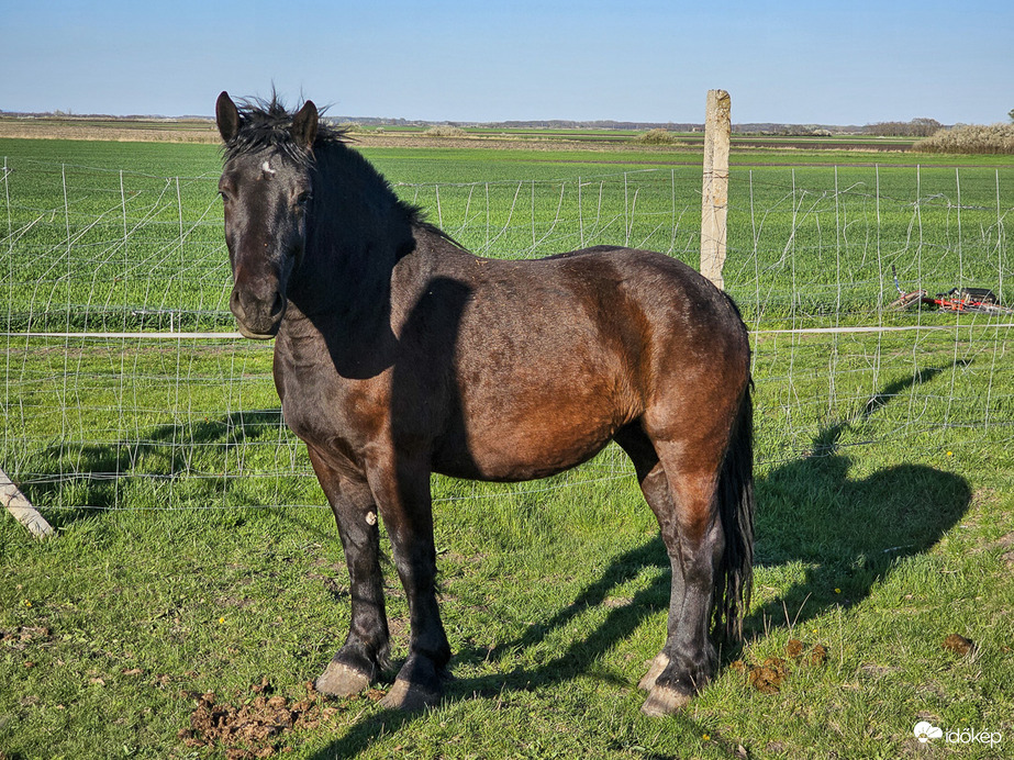 Hát te meg ki vagy?