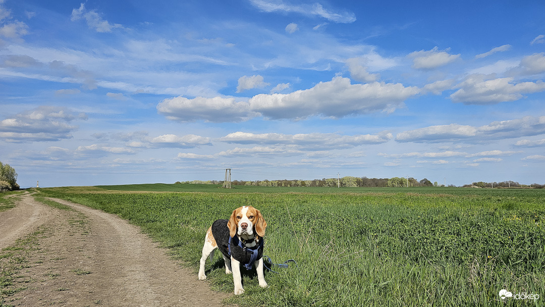 Maci, a térkép felfedezője