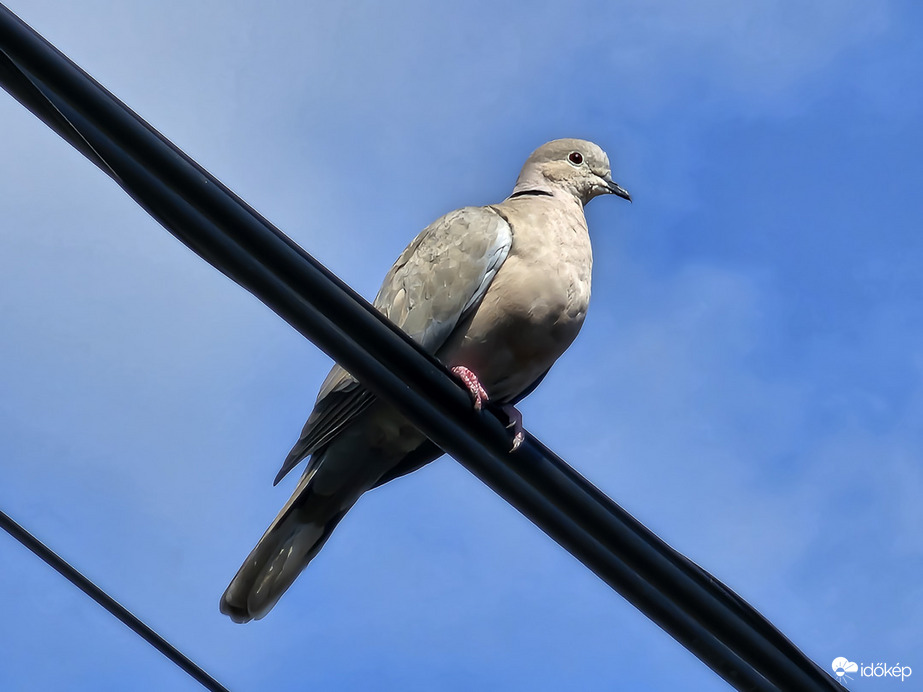 Légtér-ellenőrzés