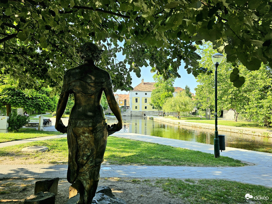 Szőlőt szedő lány