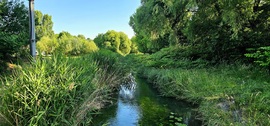 Tapolca-patak