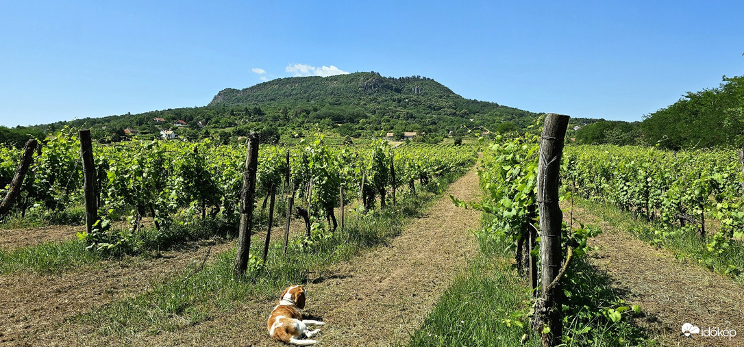 Elég a túrából, menjünk fürdeni!