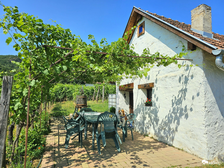 Fáradt Vándor megpihent