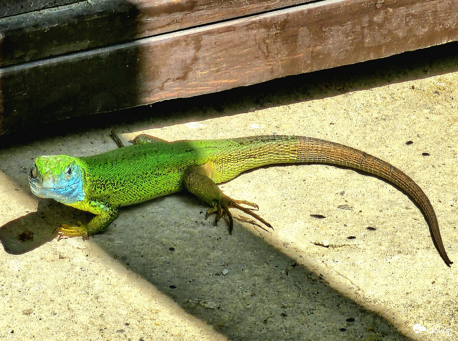 Hűvösre húzódtam