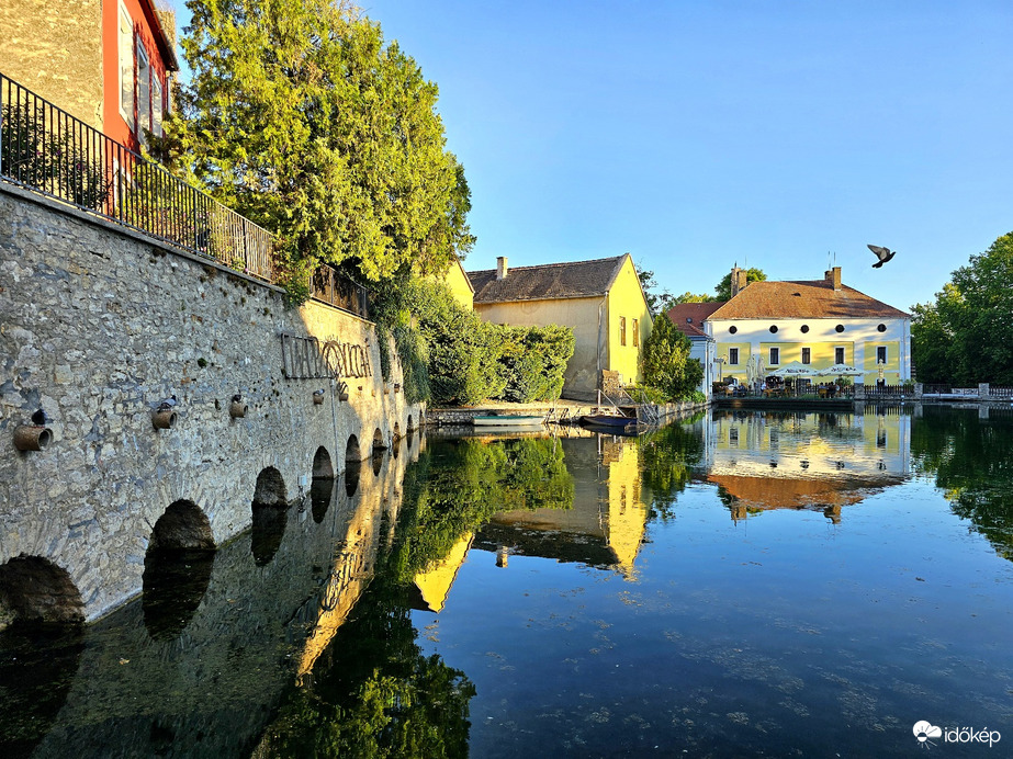 Kiröppenő galamb