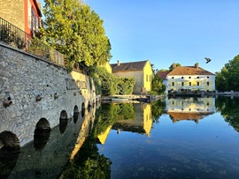 Kiröppenő galamb