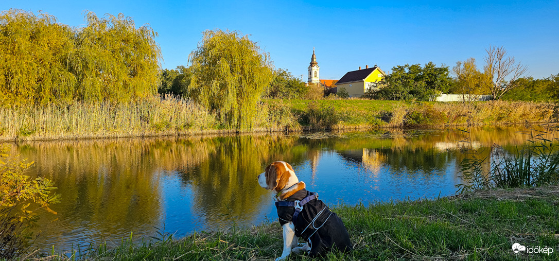 Őszi csend a Halastavon