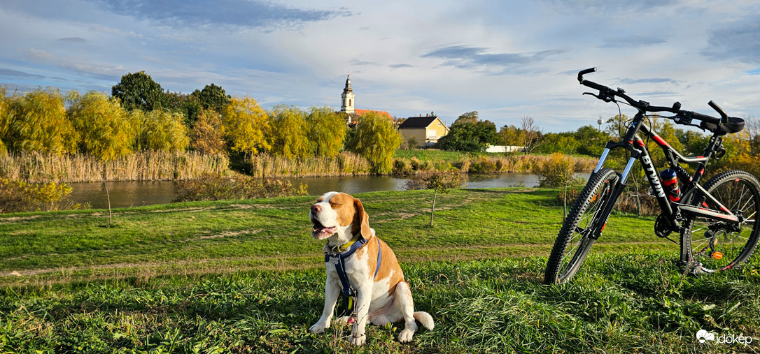 Frontérzékeny túratárs
