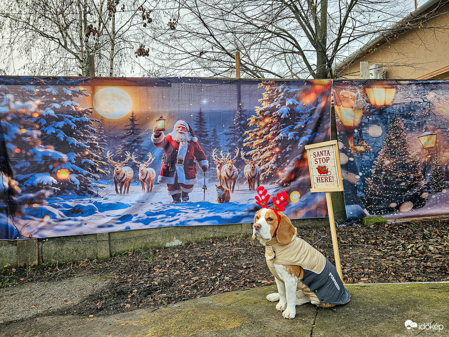 Békés, Boldog Karácsonyt Kívánunk Mindenkinek!