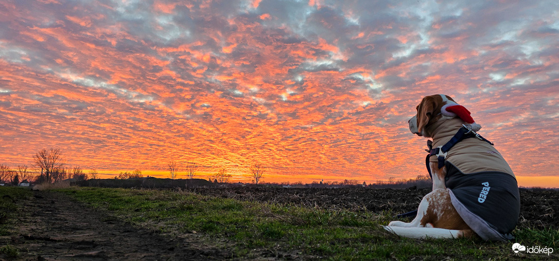 Ha elmúlik Karácsony