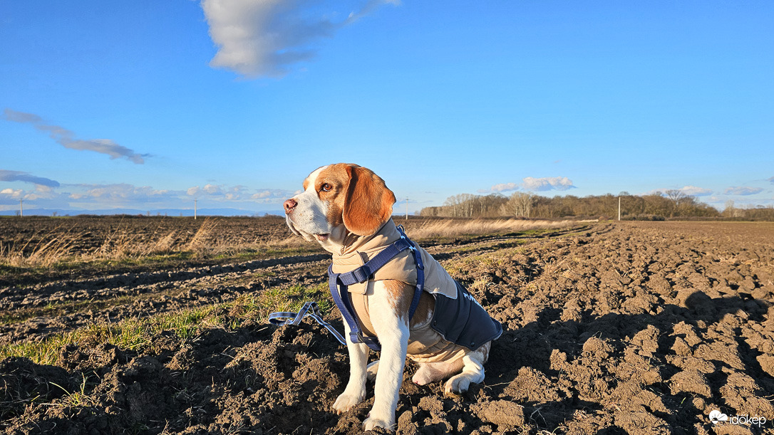 Tavaszváró napsütésben