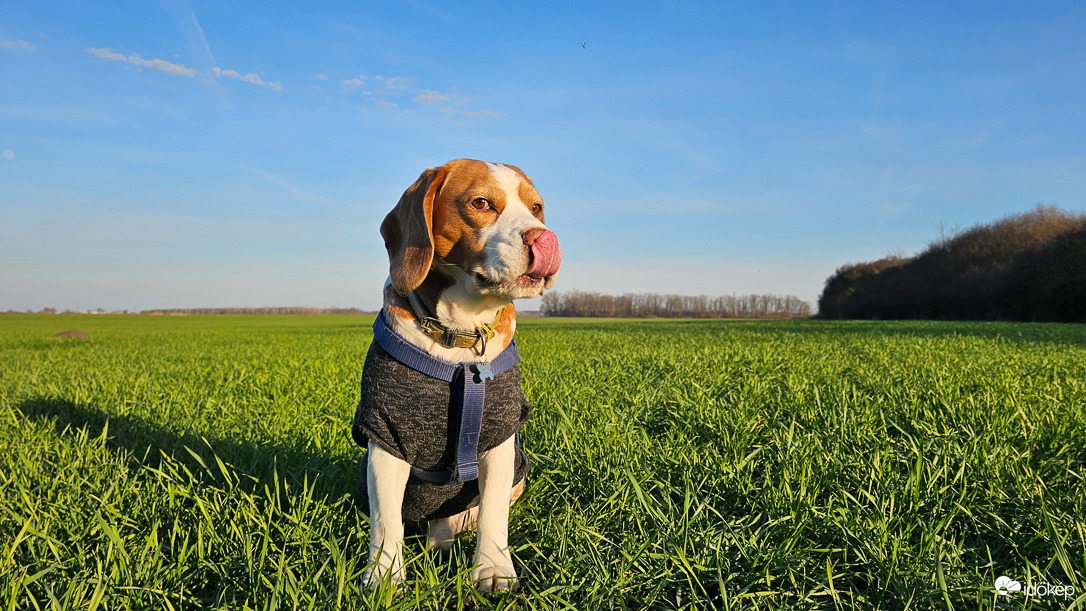 Ízlelgetjük a tavaszt