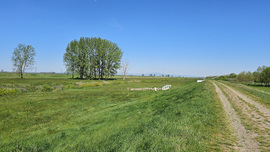 Jászjákóhalma