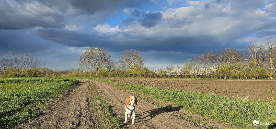 Versenyfutás a viharral