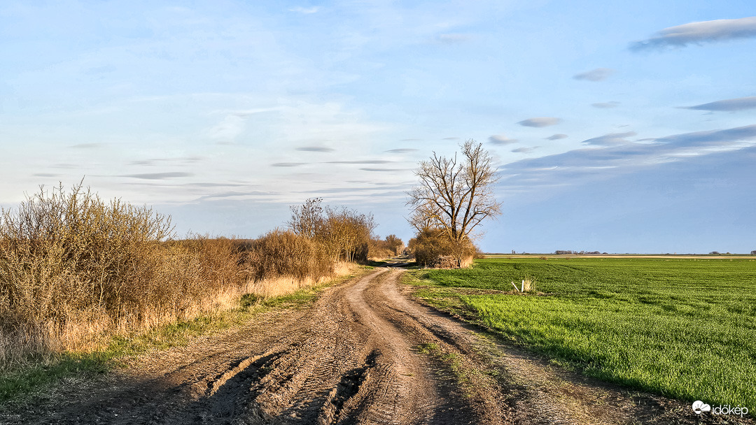 Földúton hazafelé