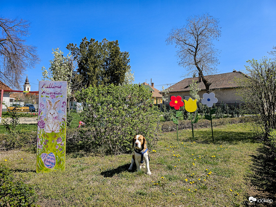 Kellemes Húsvéti Ünnepeket kívánunk Mindenkinek! :)