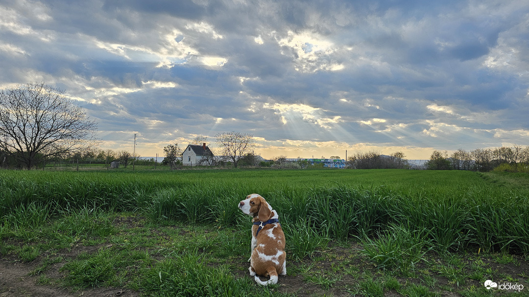 Nálunk ma a Nap nem lement, hanem elment...