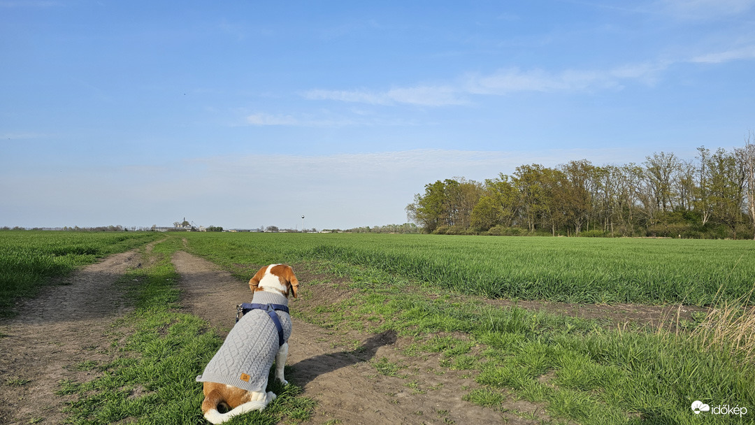 A radar bekapcsolva...