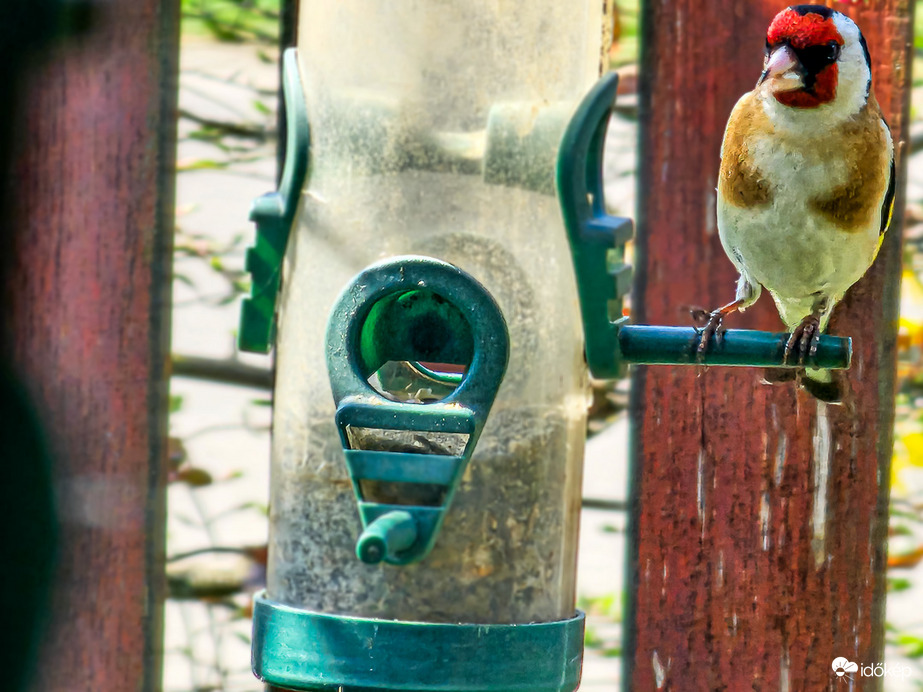 "Valaki hozna egy szívószálat?"