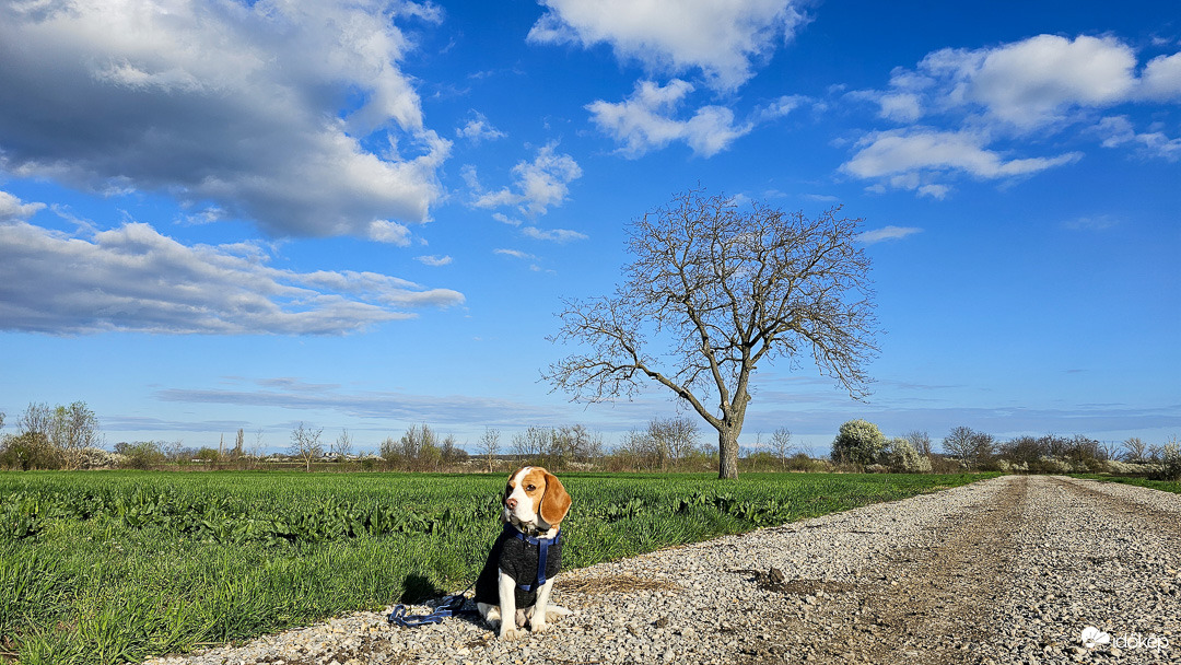 Csak kisütött az a fránya nap!