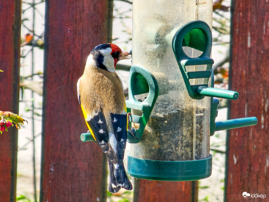Valaki leette róla a lényeget!