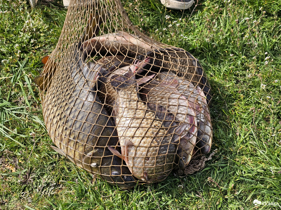 Az egyik horgász zsákmánya