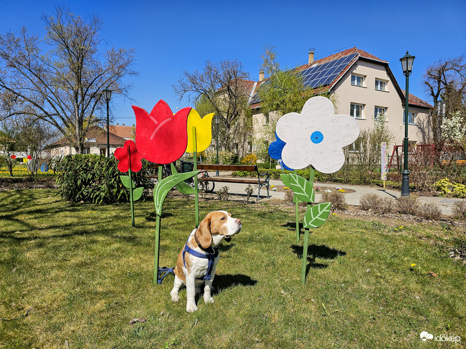 Már érzem a tavasz illatát!