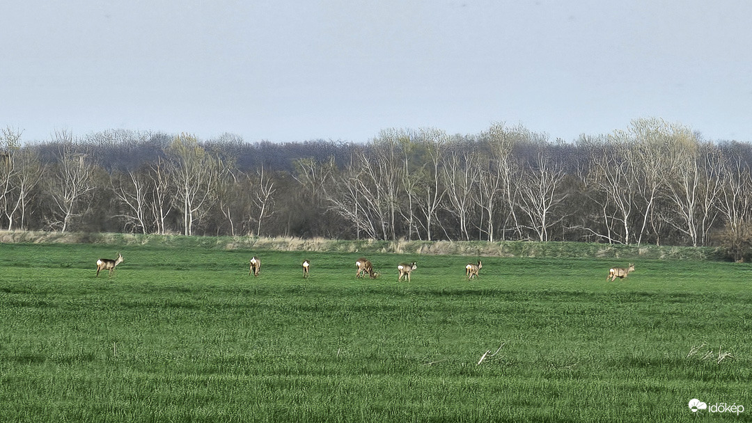 Bottal üthetjük a nyomaikat