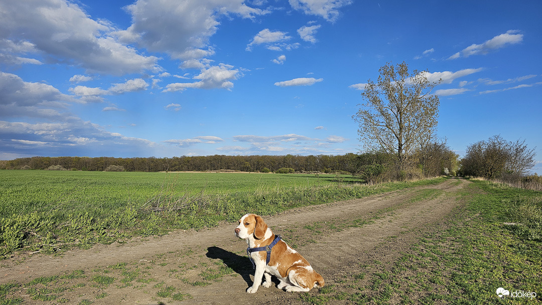 Tavaszi rajt a napsütésben