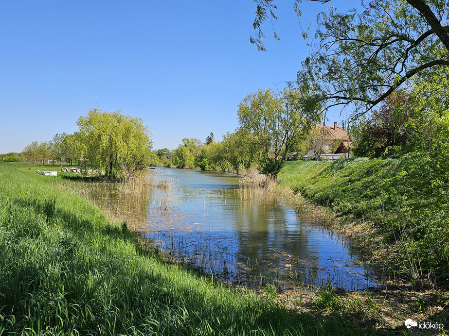 Szélcsiszolta tavasz