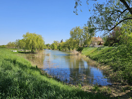 Szélcsiszolta tavasz