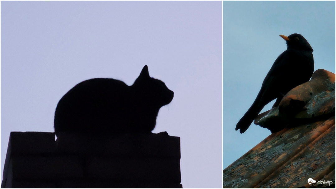 Don Rodrigó, a Sötétség Ura ismét lecsap (251. epizód)