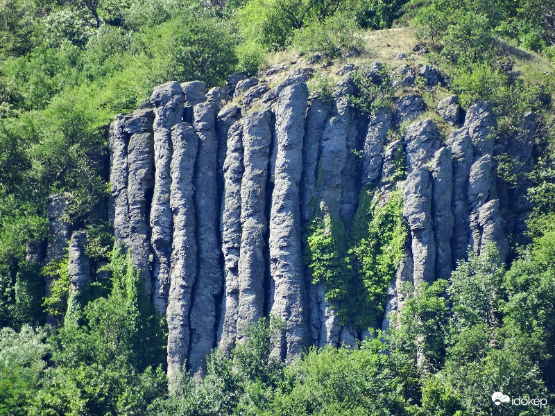 Bazaltorgonák