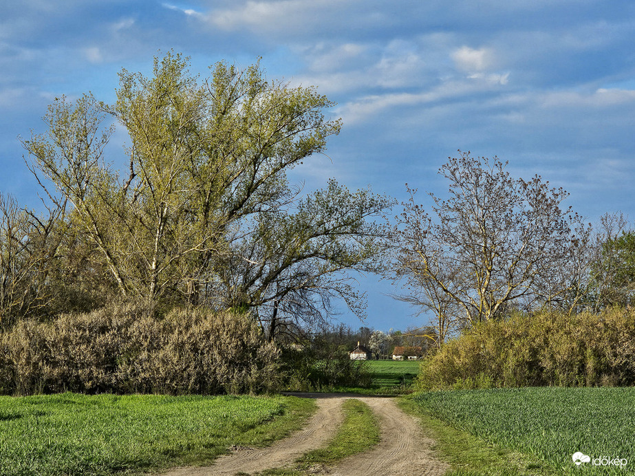 A természet kapujában