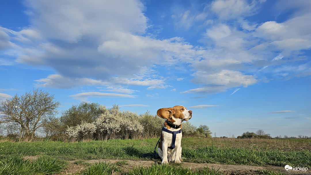 Felszállási engedély megkérve! :)