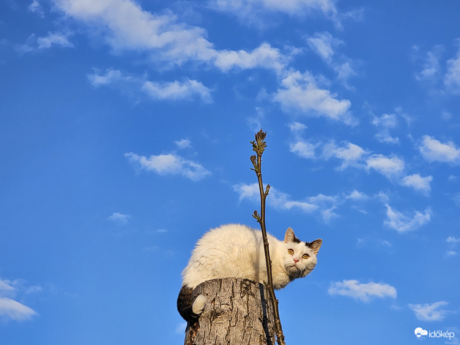 Délutánra "cicafelhők" érkeztek a Jászságba