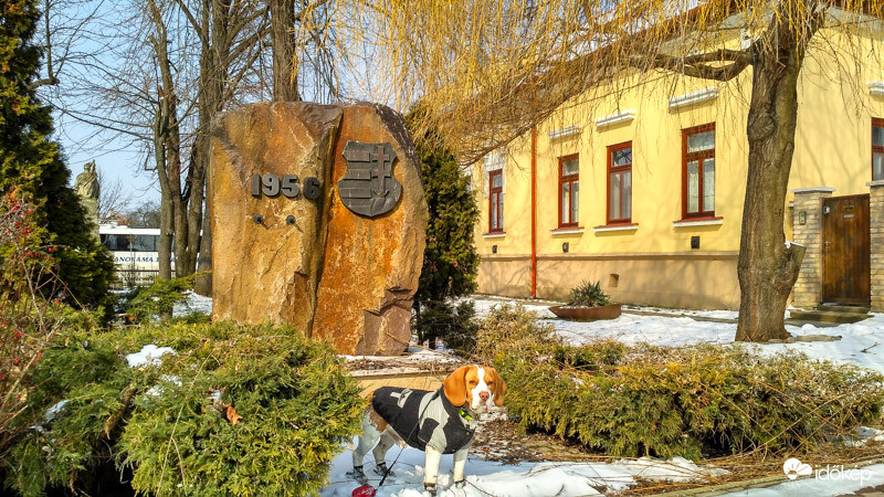 56-os emlékmű