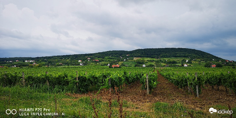 Tagyon