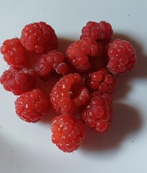 Somogyudvarhely