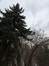 Miskolc