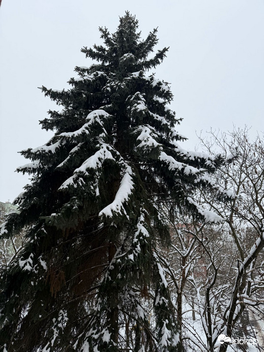 Miskolc