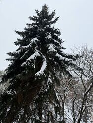 Miskolc