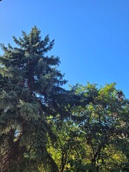 Miskolc
