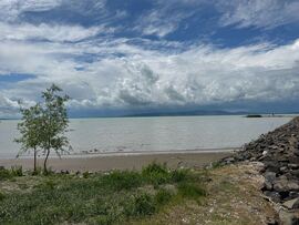 Balatonfenyves
