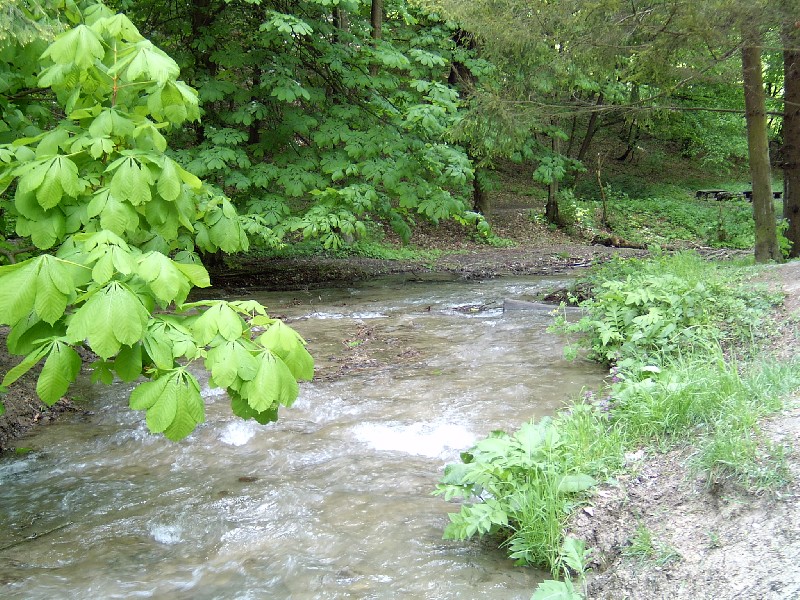 Szilvásvárad