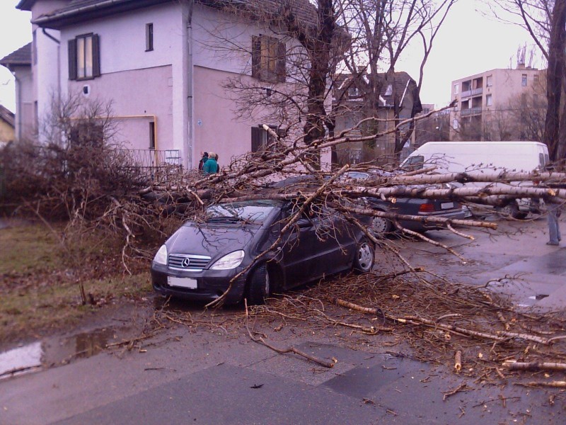 Viharkárok