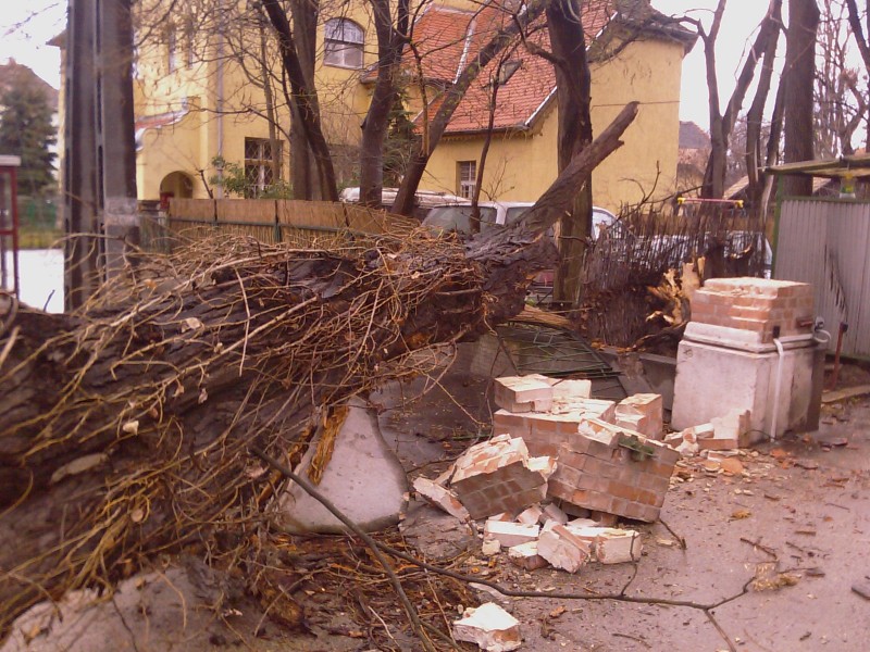 Viharkárok